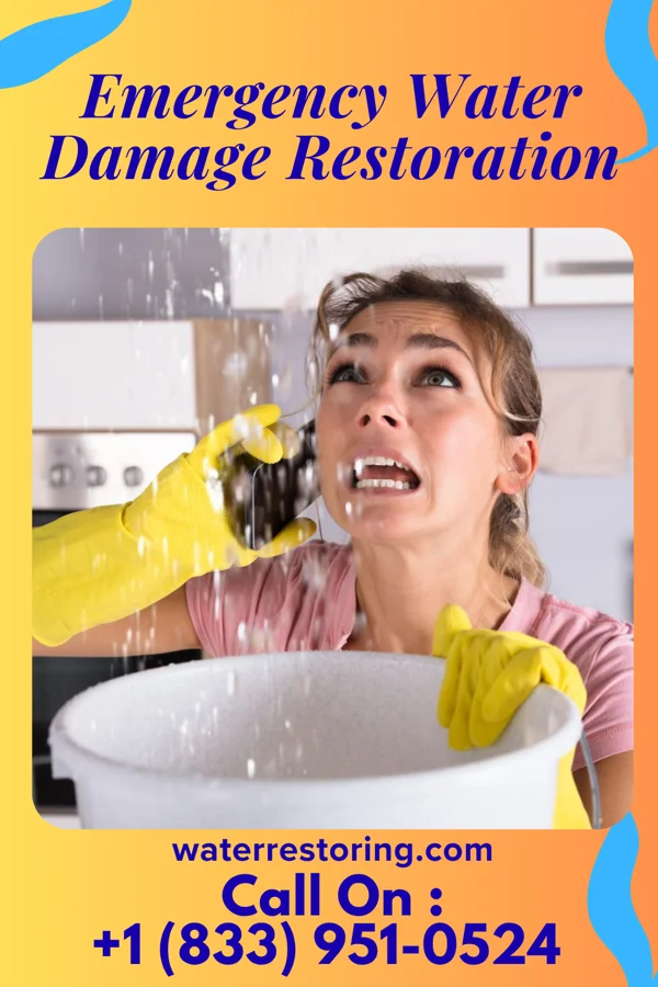 Emergency Water Damage Restoration in Ogden, IL