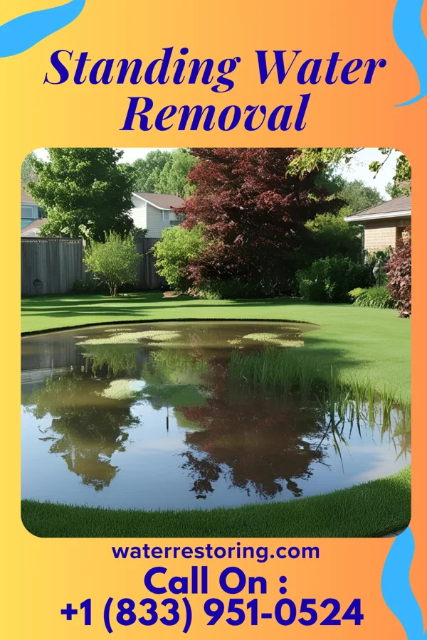 Standing Water Removal in Ogden, IL